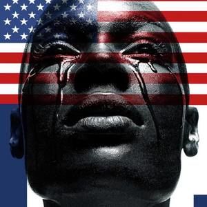 Meet your Posher, Shelley